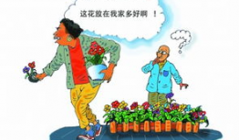 花贼漫画,盗花高手与神秘花园的奇幻冒险